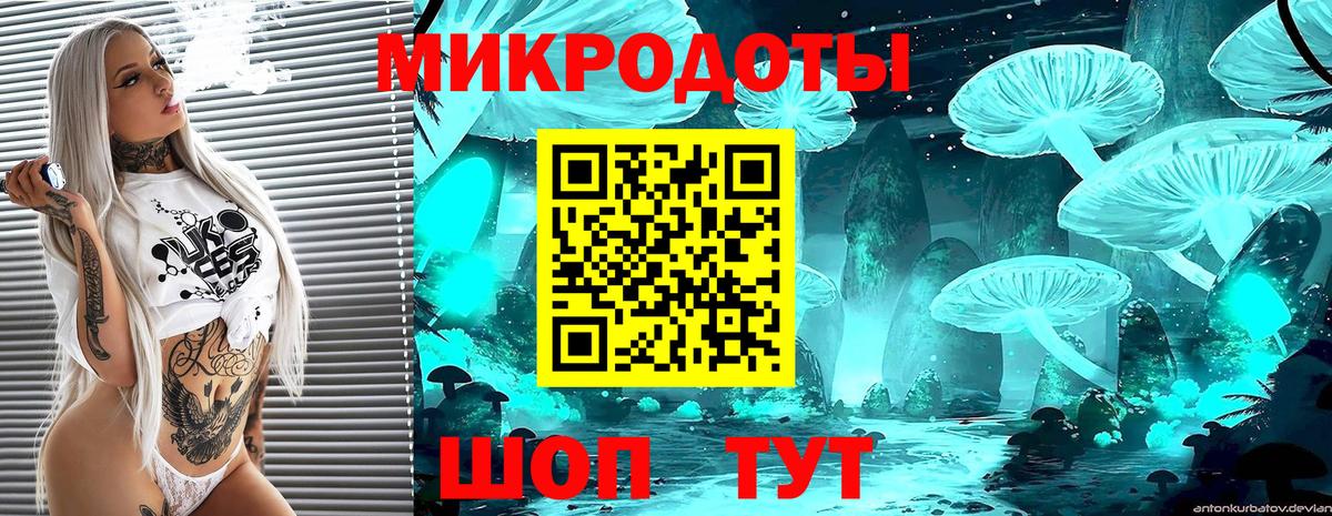 Псилоцибиновые грибы Psilocybine cubensis Тамбов