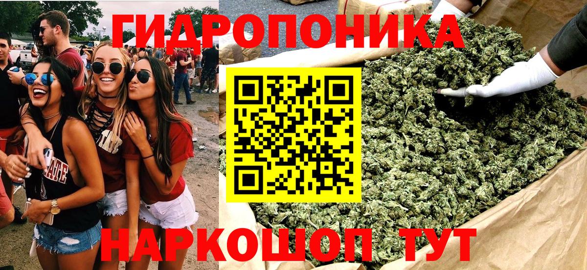 Конопля планчик Тамбов
